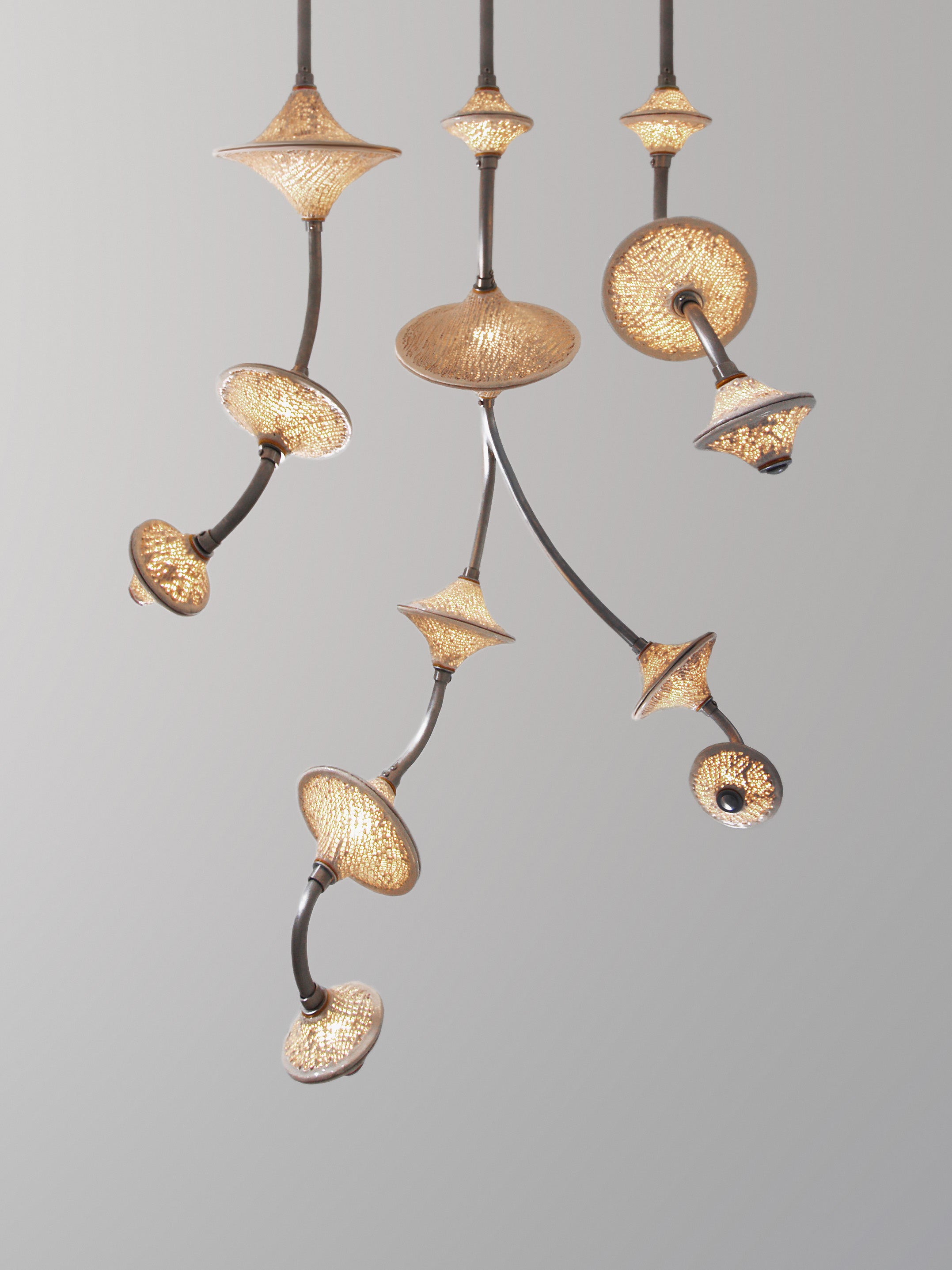 CLUSTER 003